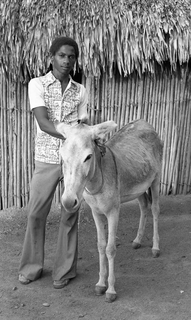 Teenage boy standing next to a mule