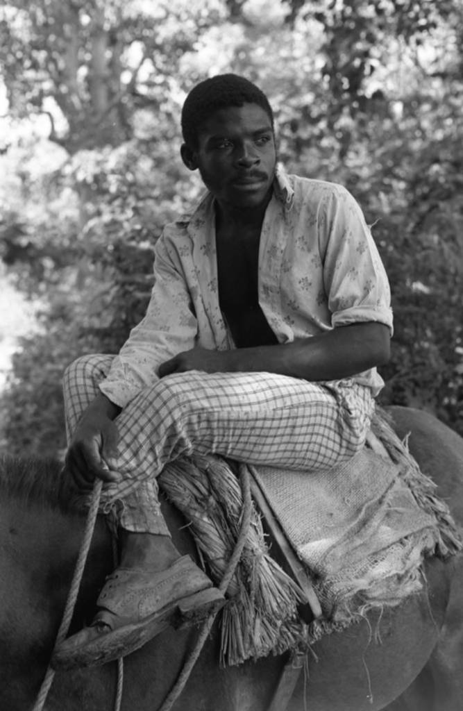 Man sitting on a mule