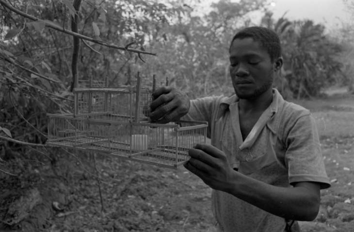 Young man preparing an animal trap