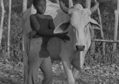 Boy standing next to a cow