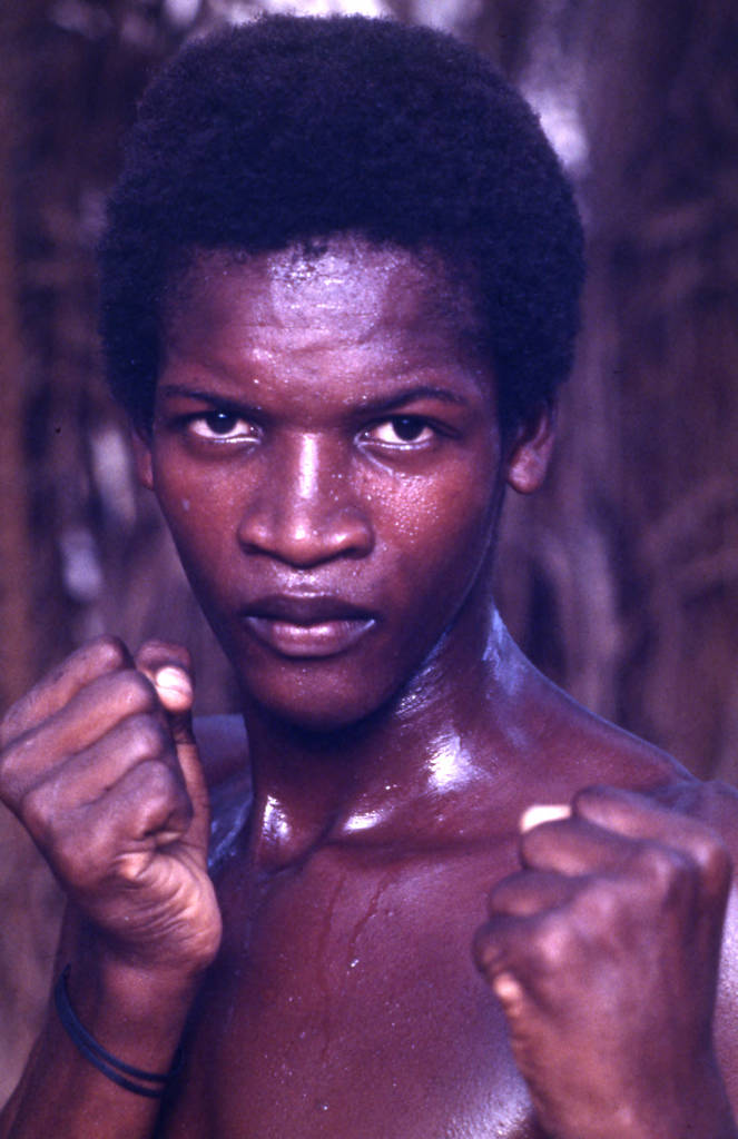 Boxer close-up portrait