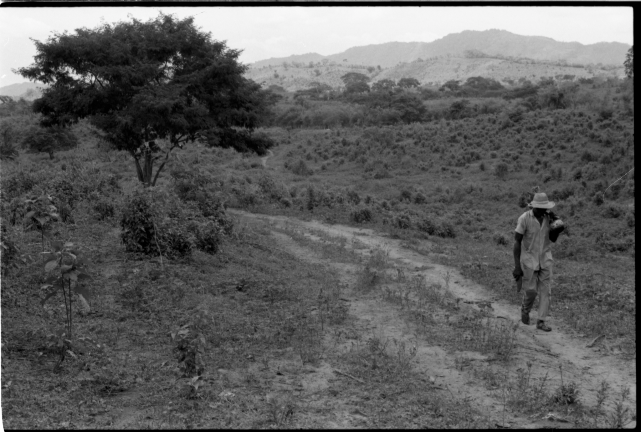 A man walking away from the landscape